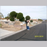 rog-linda-tree.jpg
