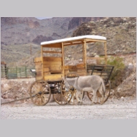 wagon-donkey01.jpg